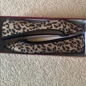 Cheetah Flats